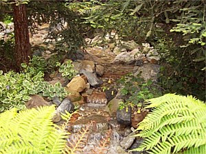 Water Feature